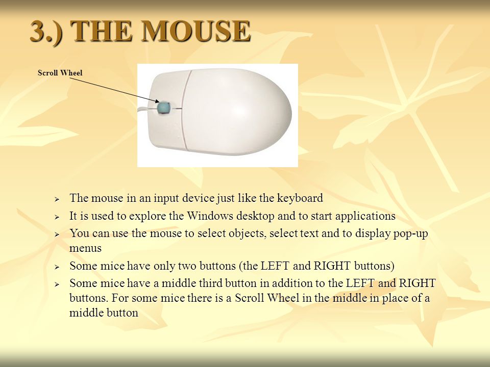 3.) THE MOUSE The mouse in an input device just like the keyboard