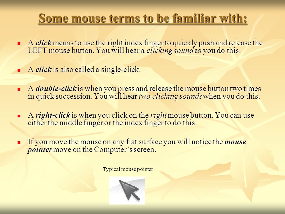 Some mouse terms to be familiar with: