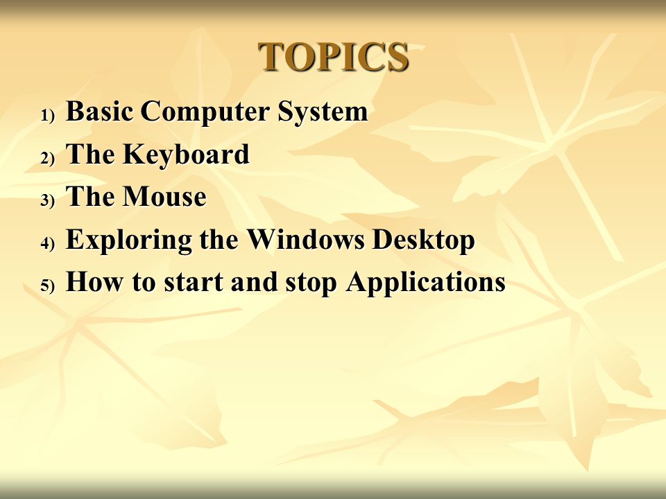 TOPICS Basic Computer System The Keyboard The Mouse