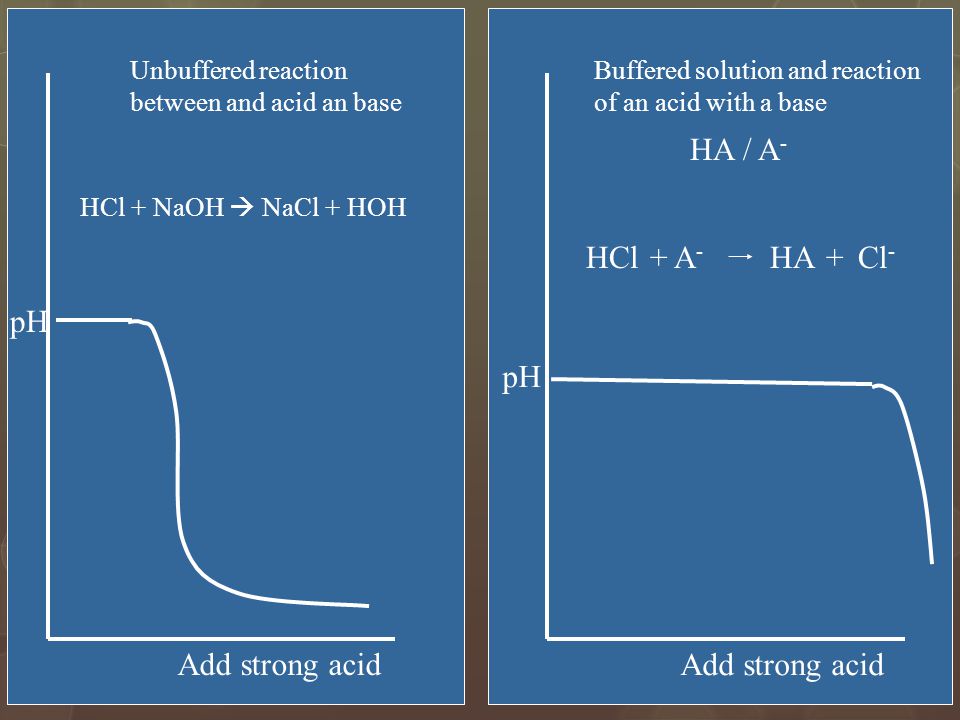 HA / A- HCl + A- HA + Cl- pH pH Add strong acid Add strong acid