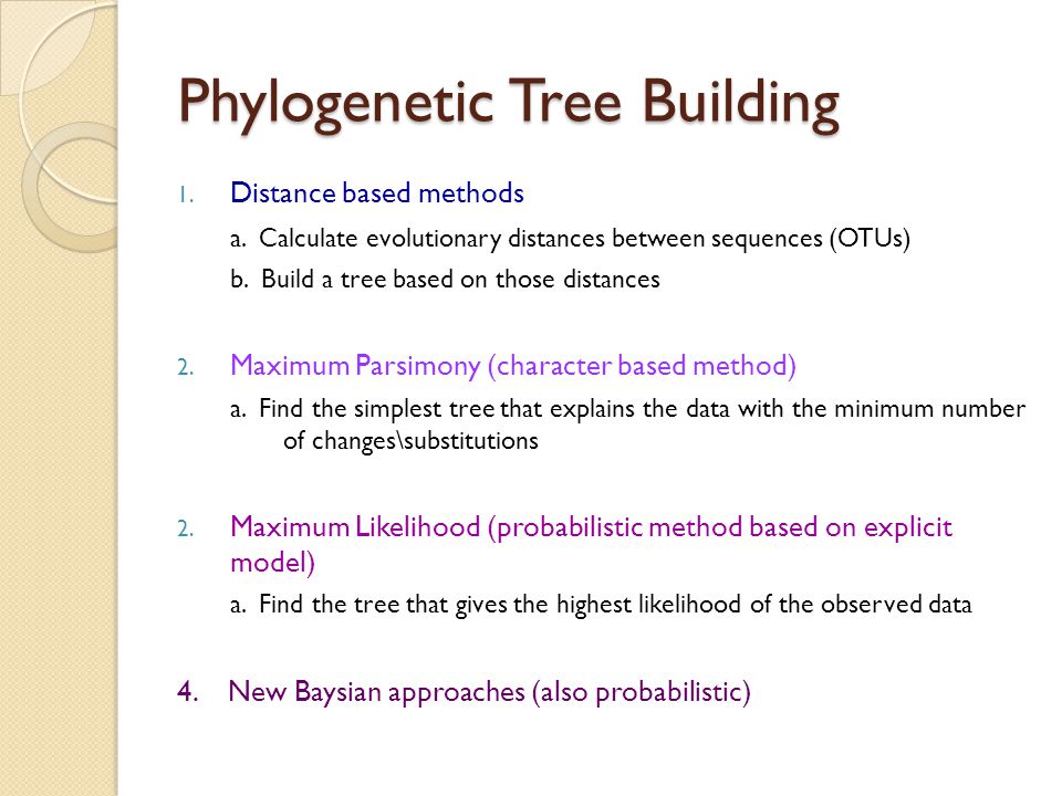 Phylogenetic Tree Building