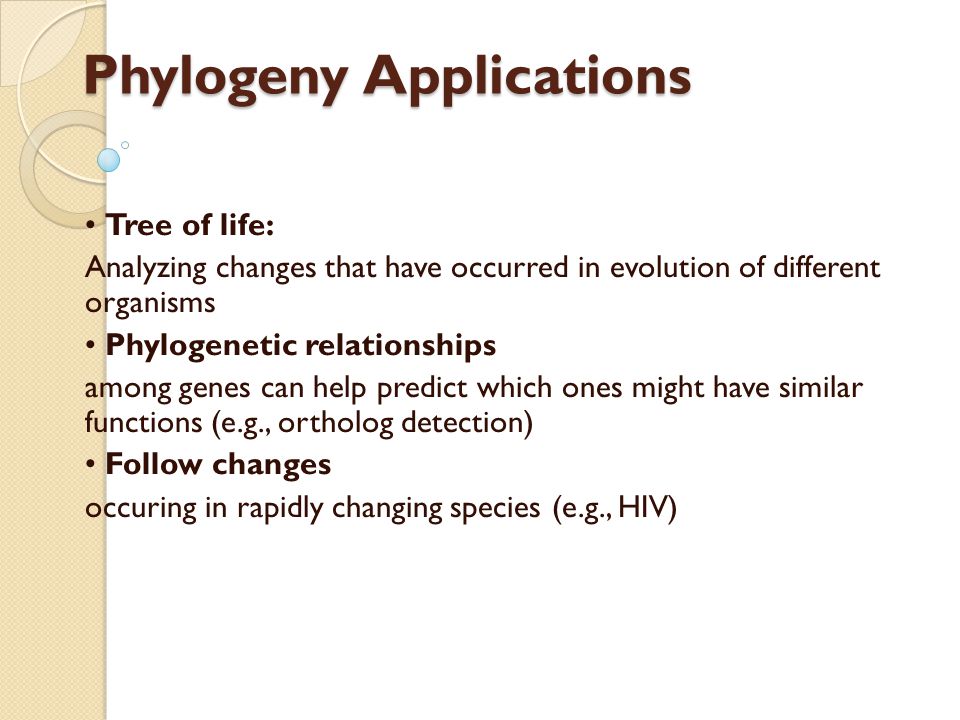 Phylogeny Applications