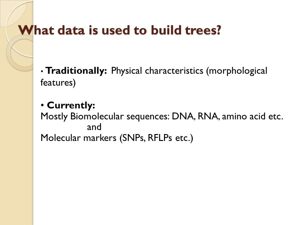 What data is used to build trees