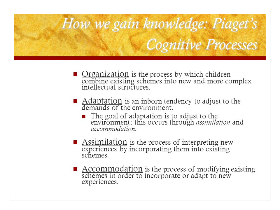 How we gain knowledge: Piaget’s Cognitive Processes