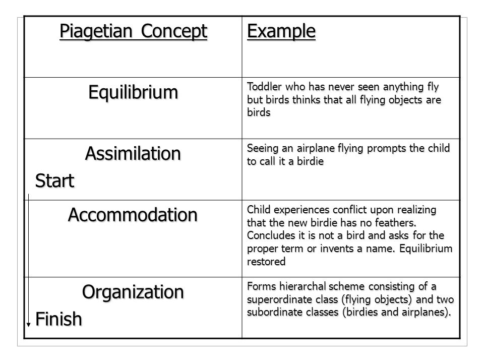 Piagetian Concept Example Equilibrium Assimilation Start Accommodation