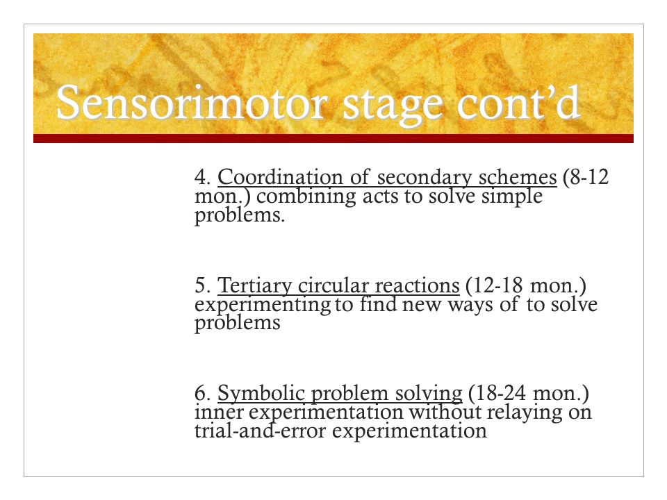 Sensorimotor stage cont’d