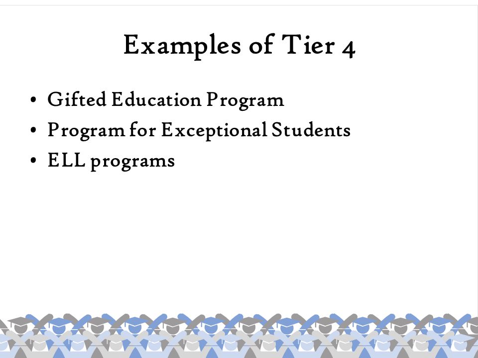 Examples of Tier 4 Gifted Education Program
