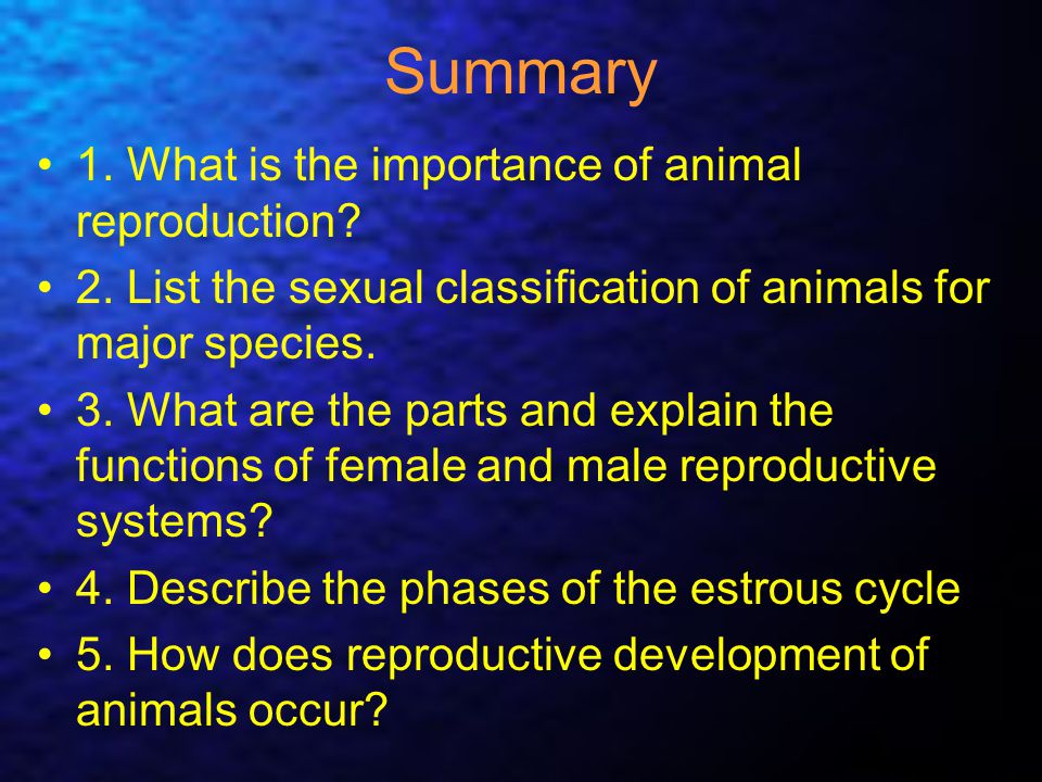 Understanding Animal Reproduction - ppt video online download