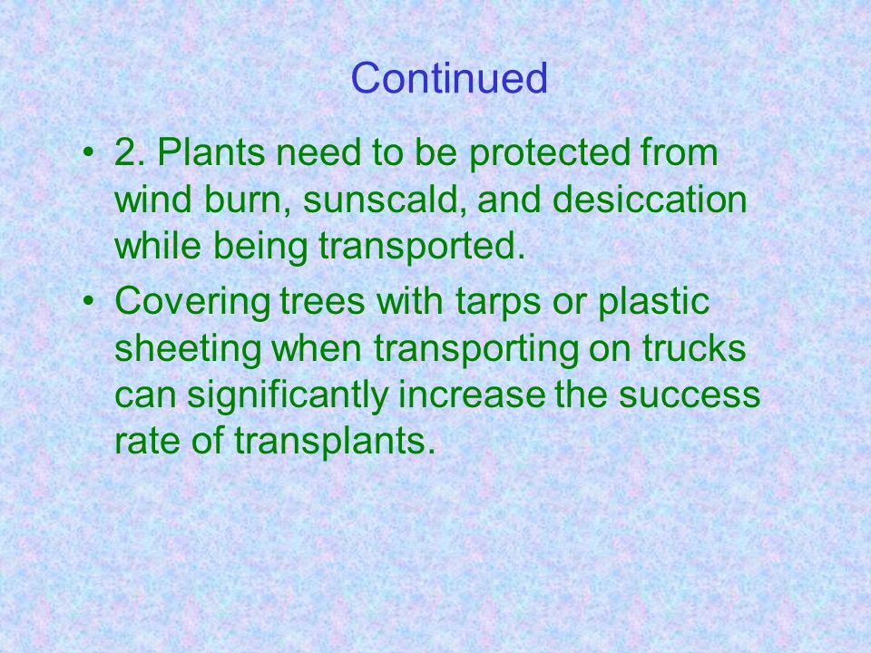 Installing Landscape Plants Ppt Download