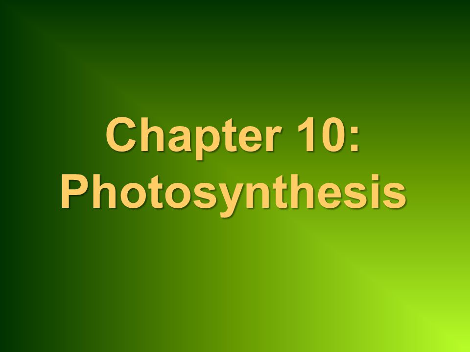 Chapter 10: Photosynthesis - Ppt Video Online Download