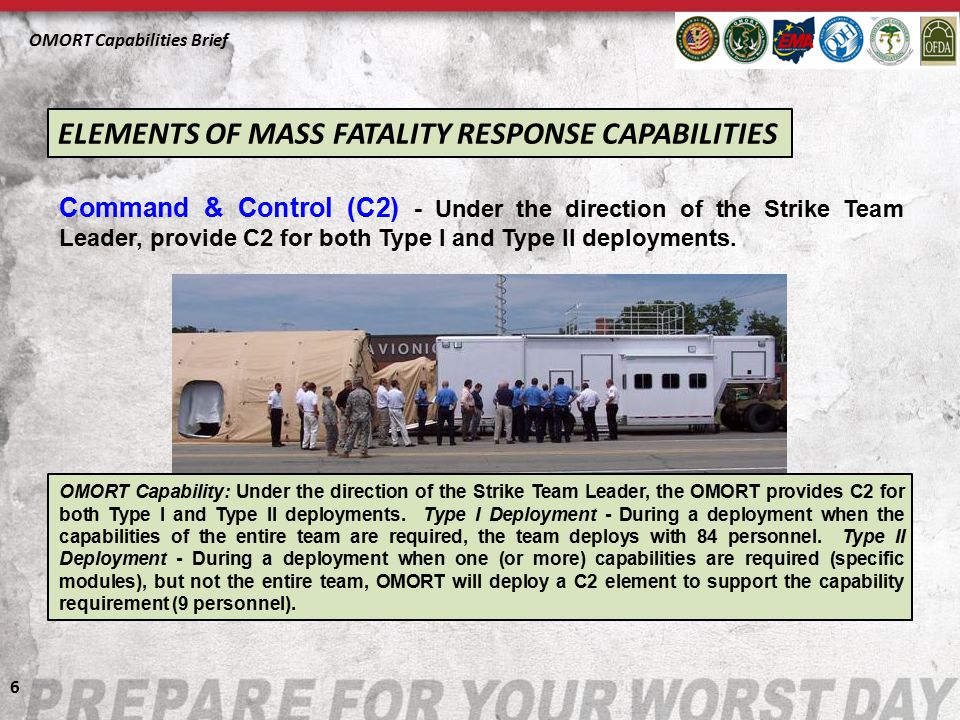ELEMENTS OF MASS FATALITY RESPONSE CAPABILITIES