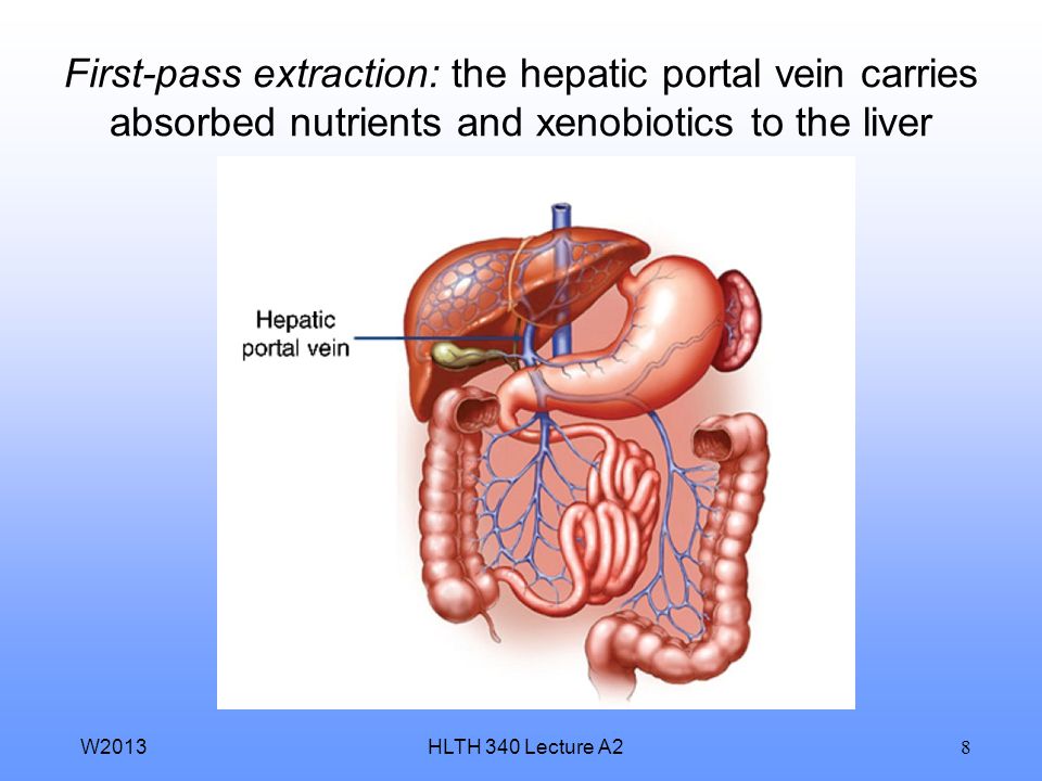 nutrients by are mechanisms absorbed 3 which HLTH Toxicokinetic 340 A2 Lecture absorption processes: nutrients by are mechanisms absorbed 3 which HLTH Toxicokinetic 340 A2 Lecture absorption processes: