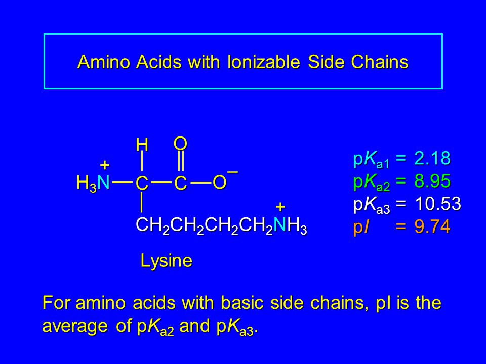 Biochemistry Macromolecules, Proteins, Amino Acids - ppt video online  download