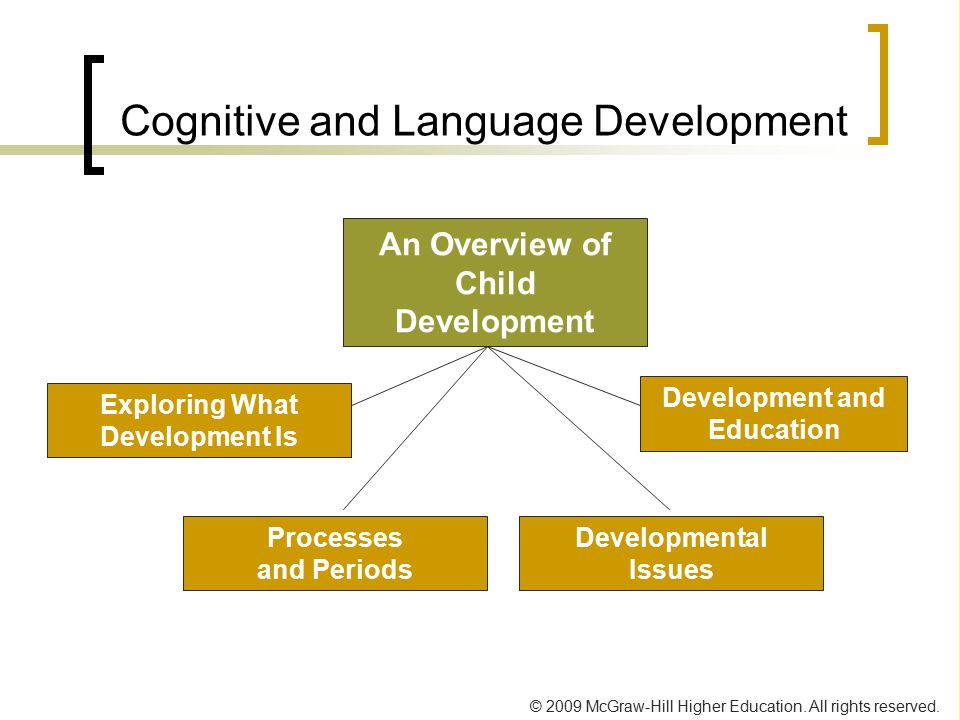cognitive and language development
