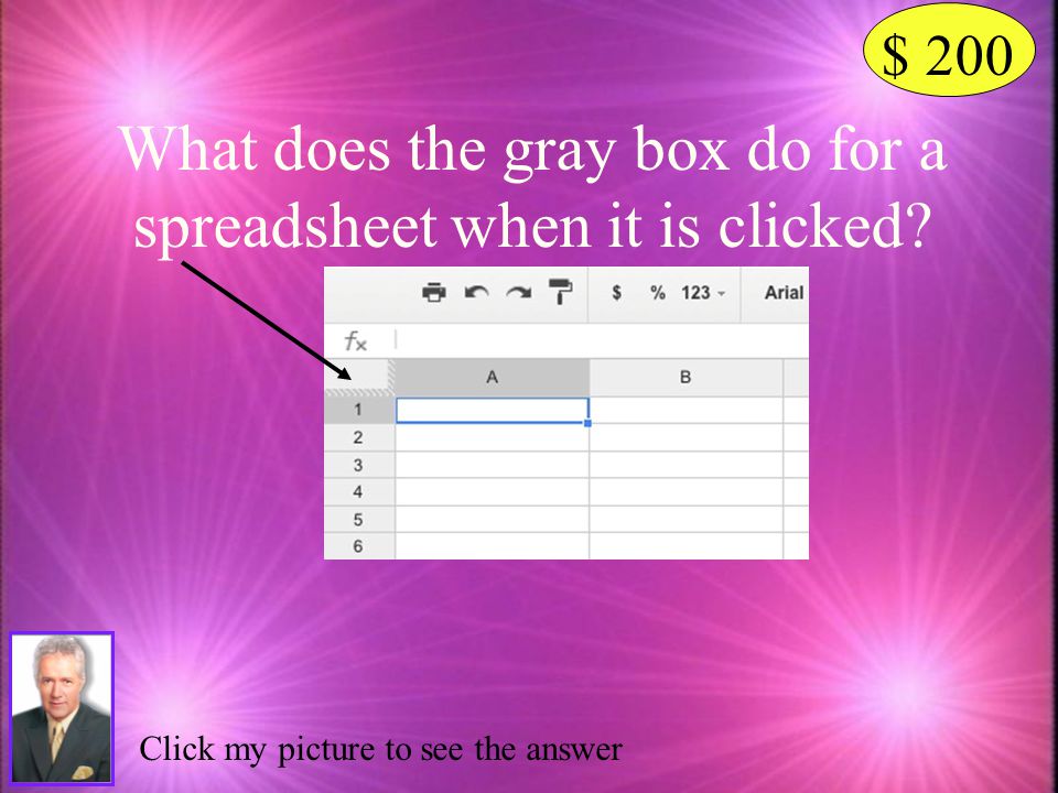 What does the gray box do for a spreadsheet when it is clicked