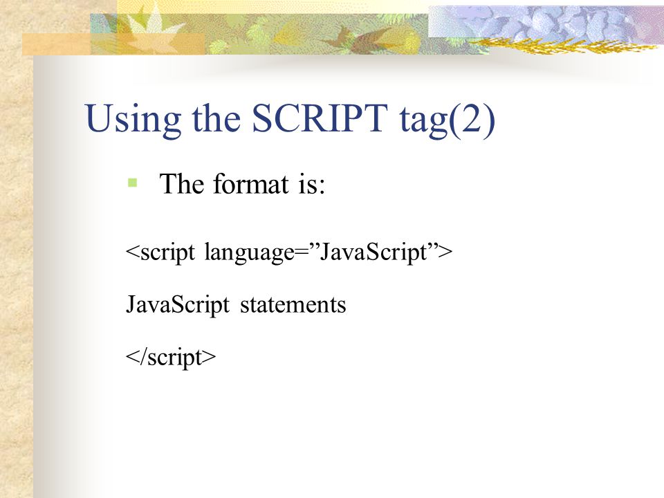 Using the SCRIPT tag(2) The format is: