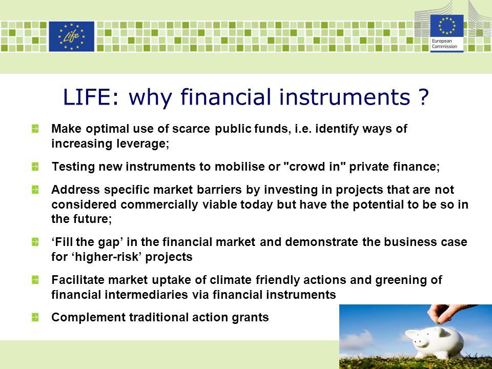 LIFE: why financial instruments