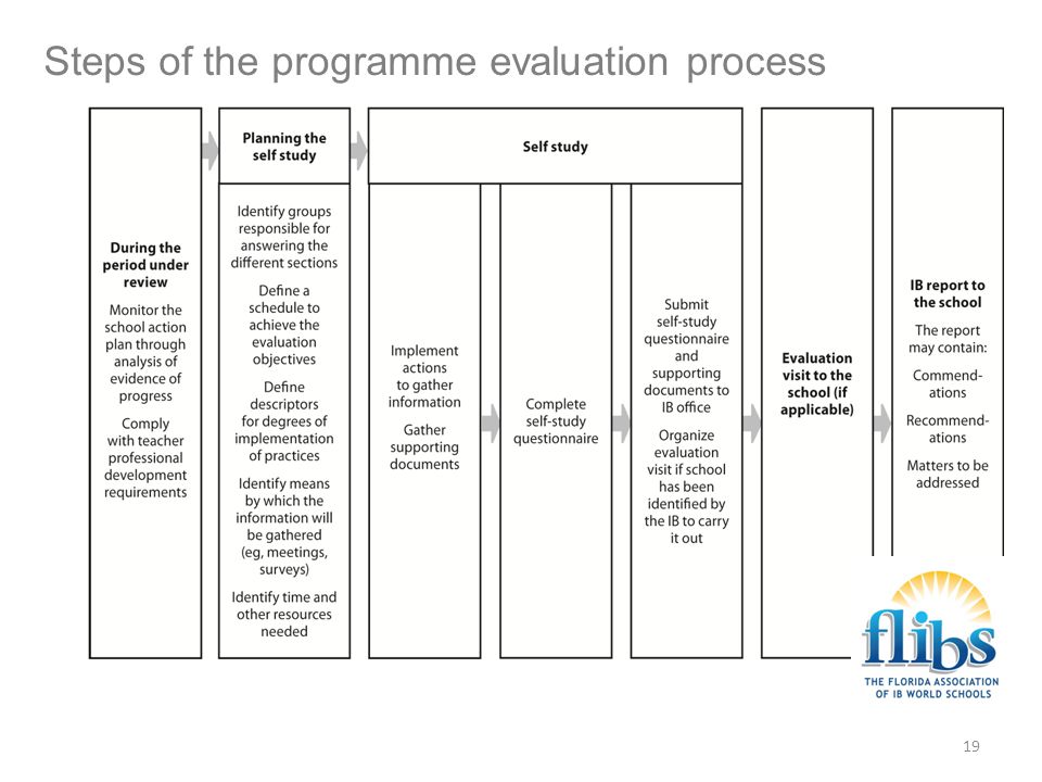 Steps of the programme evaluation process