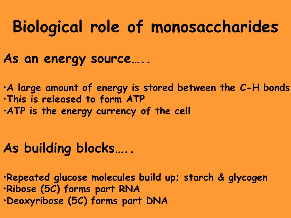 Biological role of monosaccharides