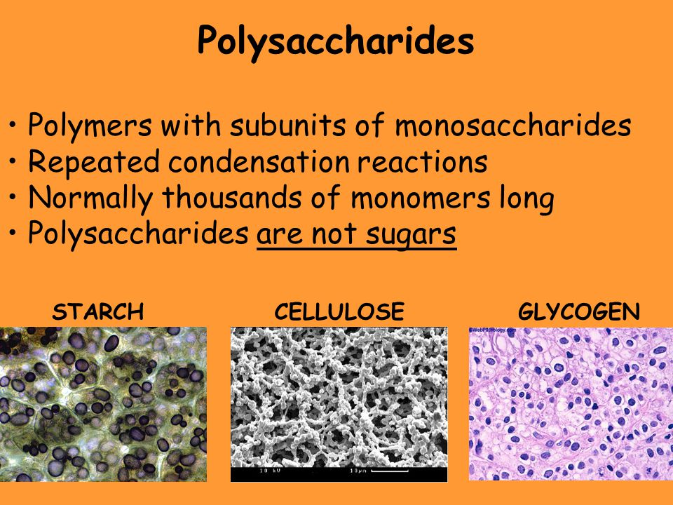 Polysaccharides Polymers with subunits of monosaccharides