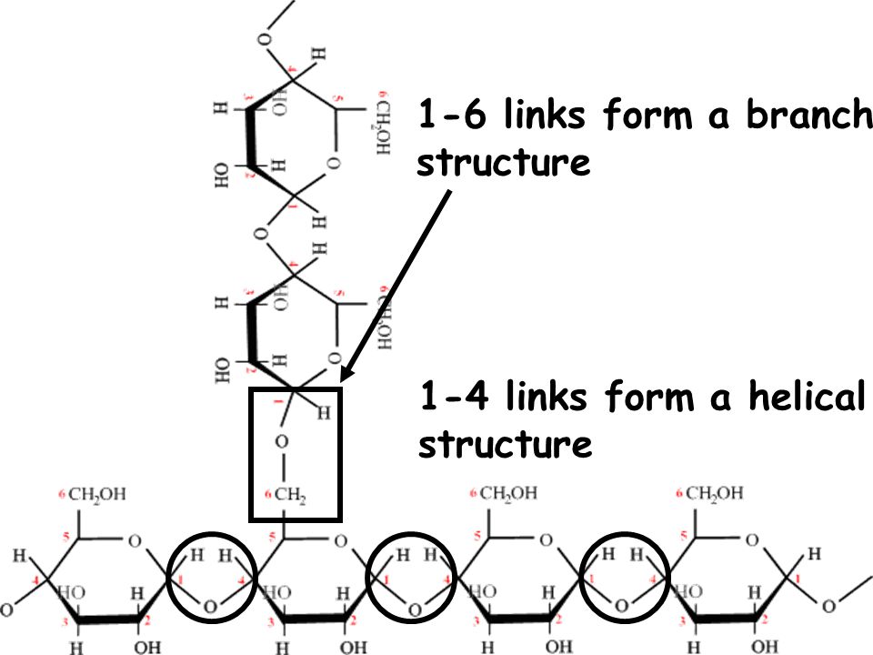 1-6 links form a branch structure 1-4 links form a helical structure