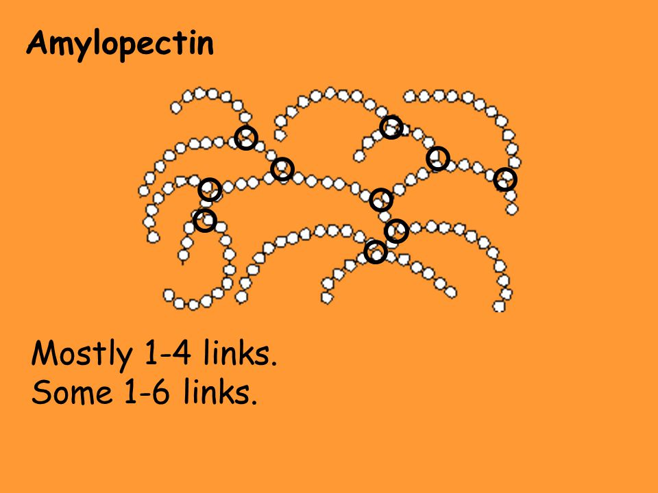 Amylopectin Mostly 1-4 links. Some 1-6 links.