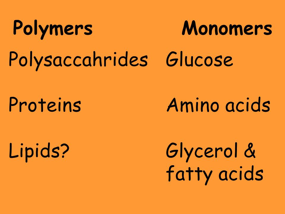 Polymers Monomers Polysaccahrides Proteins Lipids Glucose Amino acids Glycerol & fatty acids