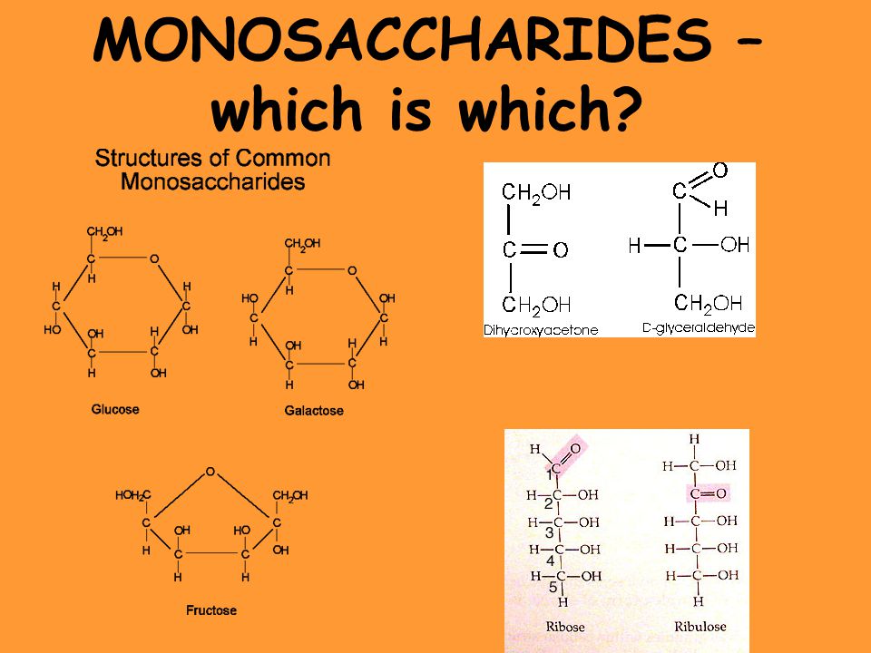 MONOSACCHARIDES – which is which