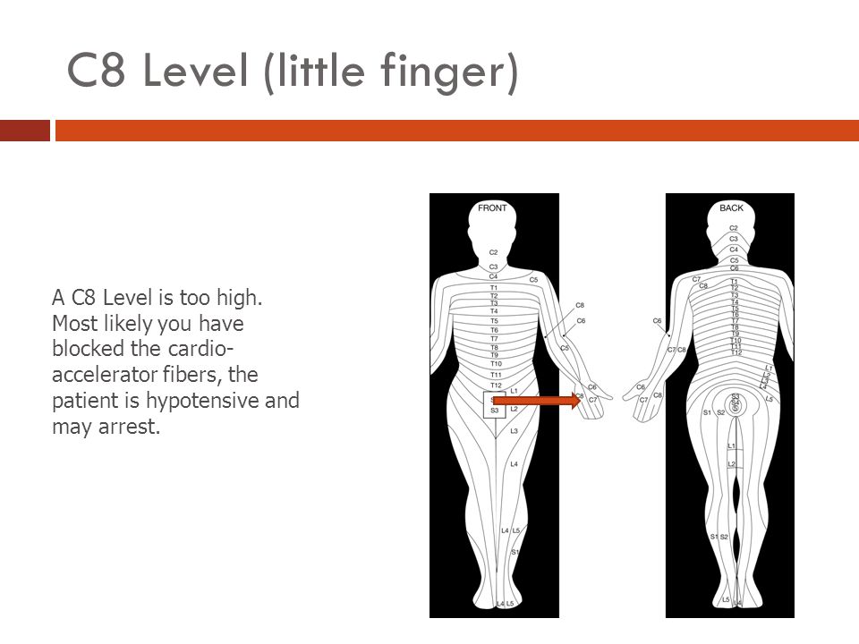 Dermatome Levels Soli Deo Gloria Ppt Download