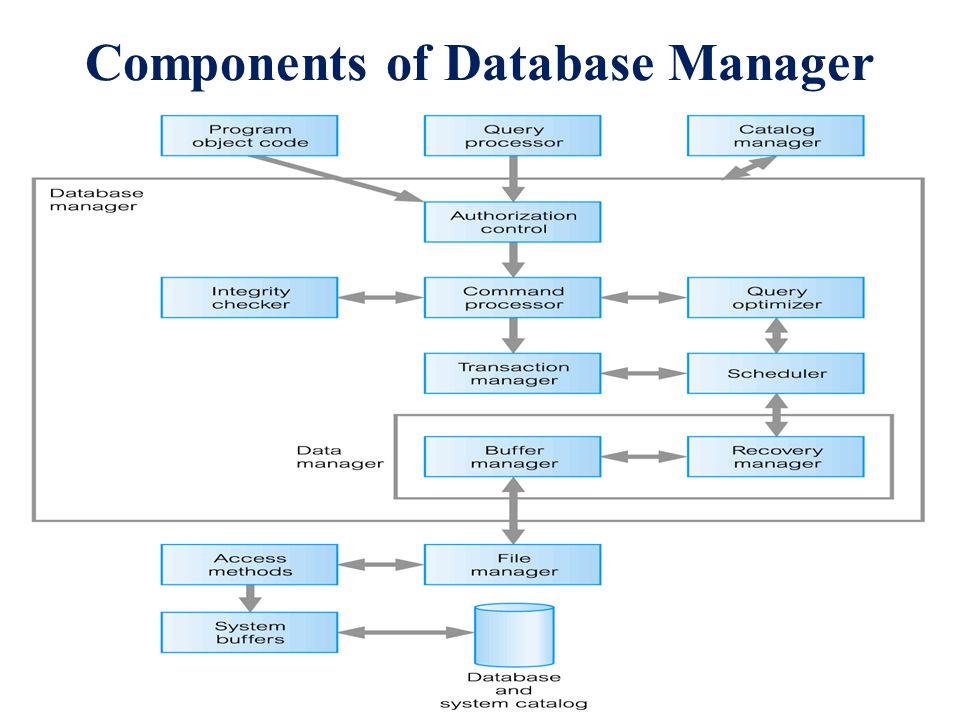 Components of Database Manager