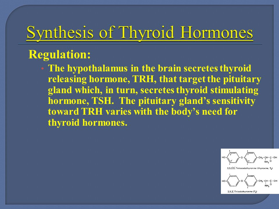 Synthesis of Thyroid Hormones