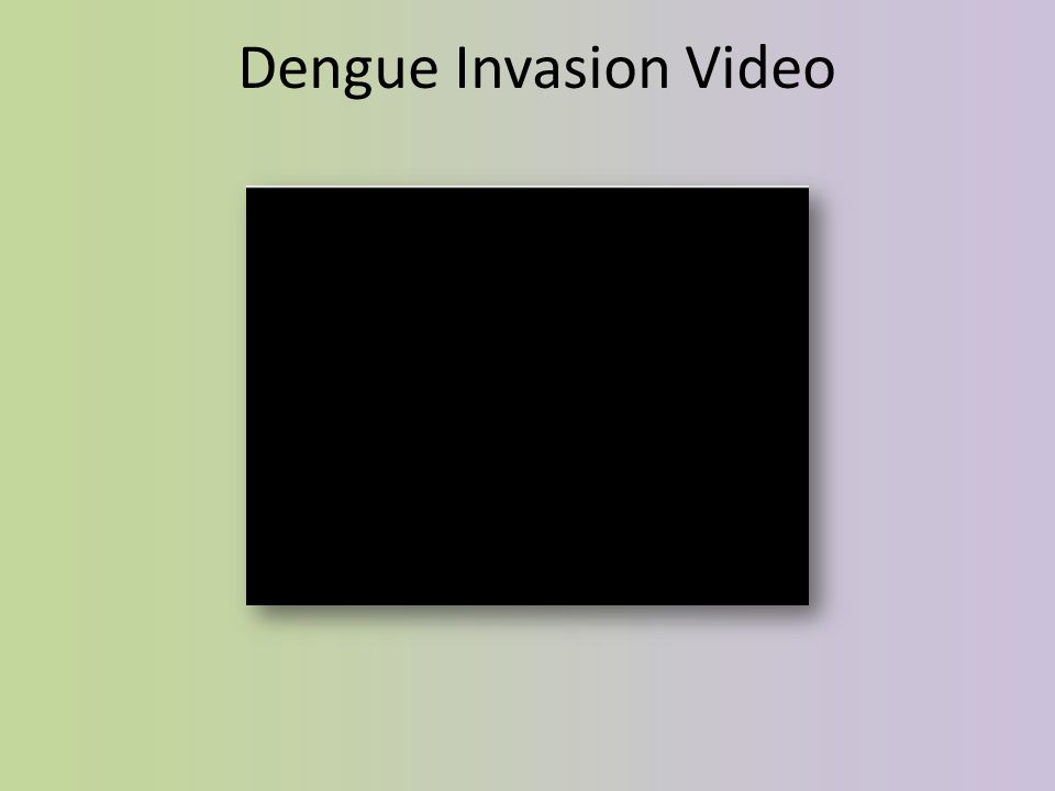 Dengue Invasion Video