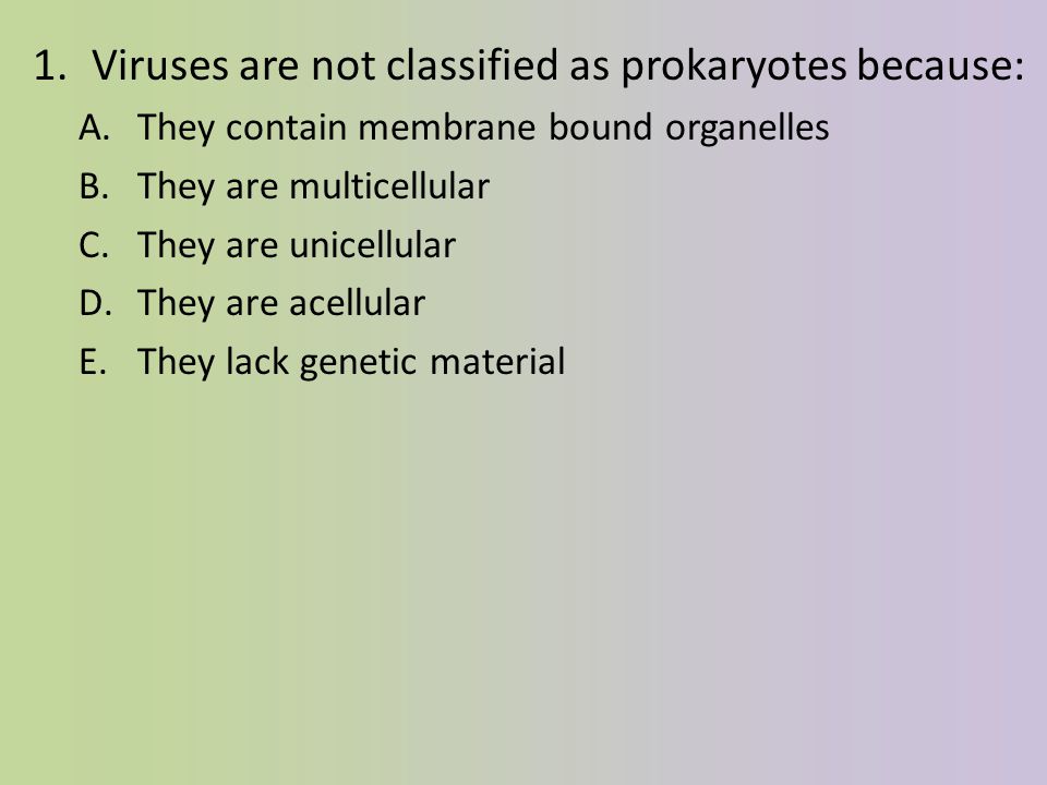 Viruses are not classified as prokaryotes because: