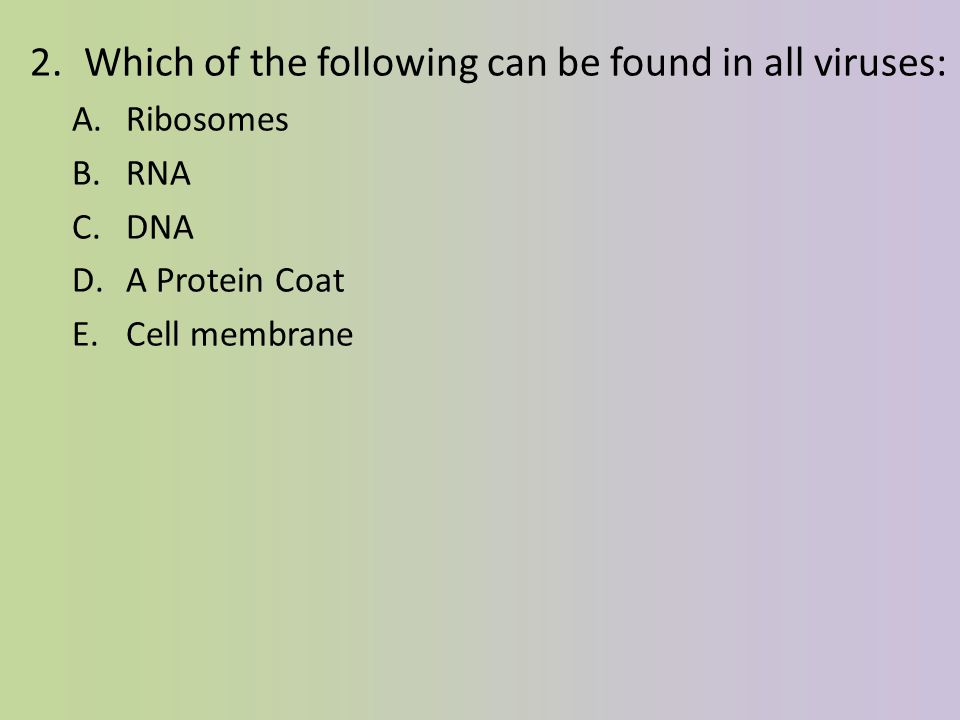 Which of the following can be found in all viruses: