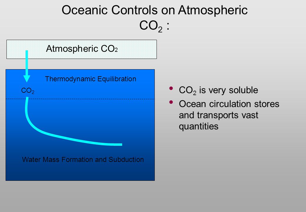 Oceanic Controls on Atmospheric CO2 :