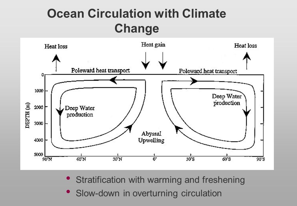 Ocean Circulation with Climate Change