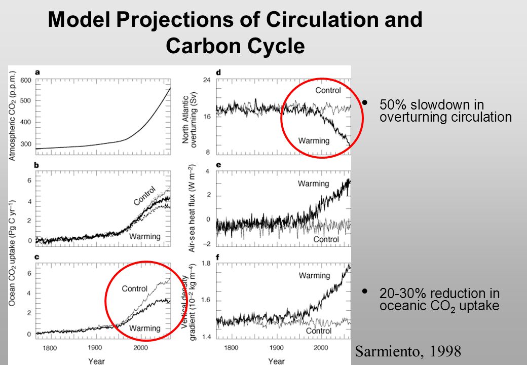 Model Projections of Circulation and Carbon Cycle
