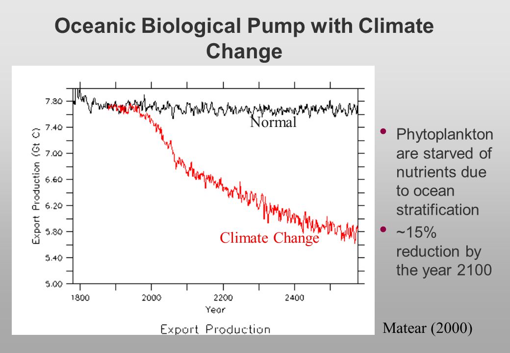 Oceanic Biological Pump with Climate Change