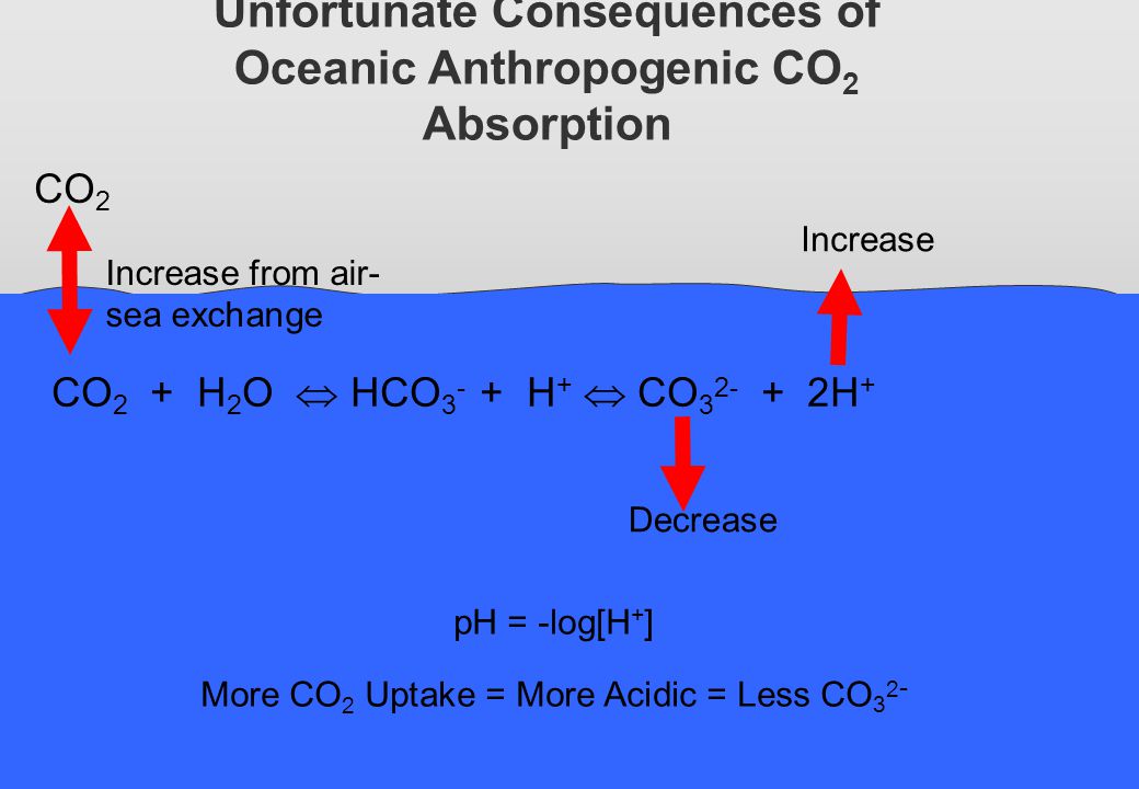 Unfortunate Consequences of Oceanic Anthropogenic CO2 Absorption
