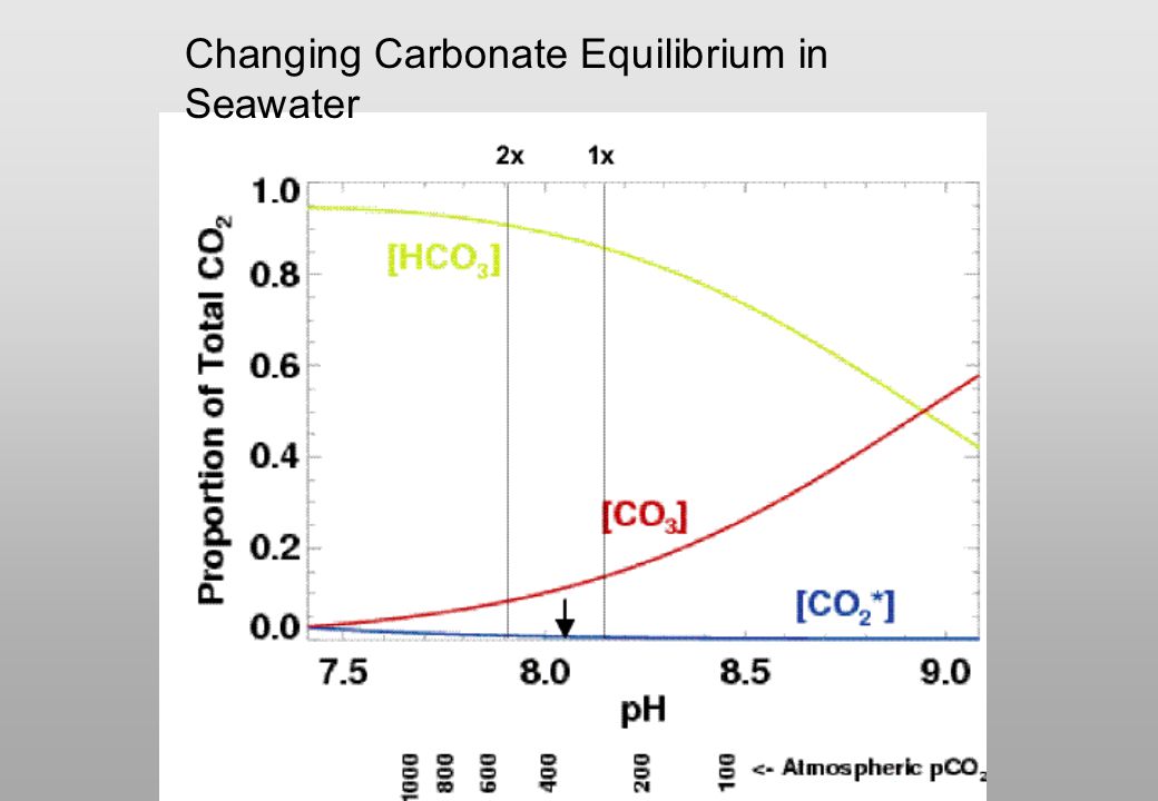 Changing Carbonate Equilibrium in Seawater