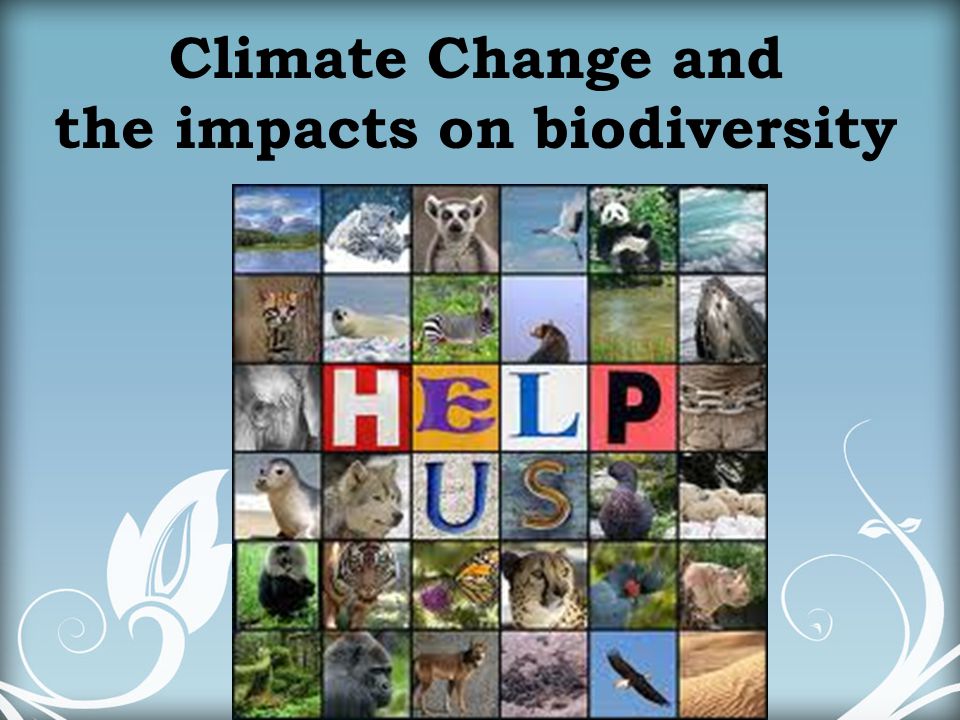 the impacts on biodiversity