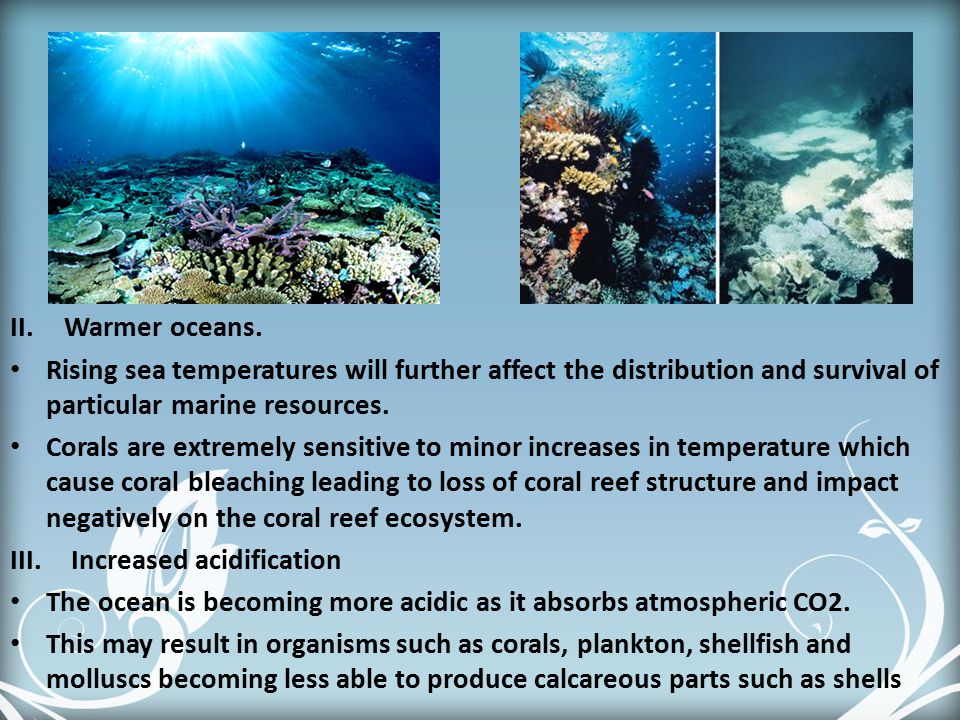 Warmer oceans. Rising sea temperatures will further affect the distribution and survival of particular marine resources.