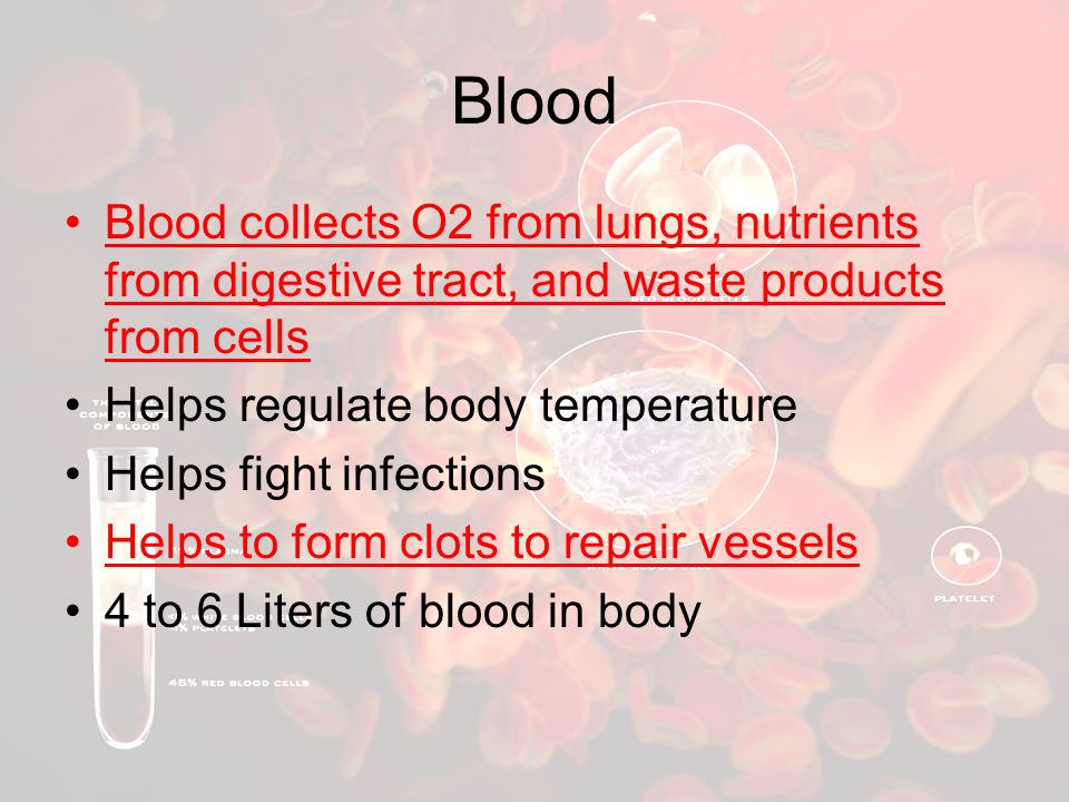 Blood Blood collects O2 from lungs, nutrients from digestive tract, and waste products from cells. Helps regulate body temperature.