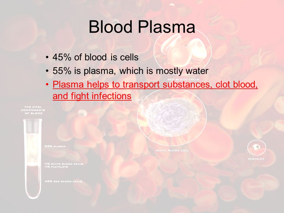 Blood Plasma 45% of blood is cells