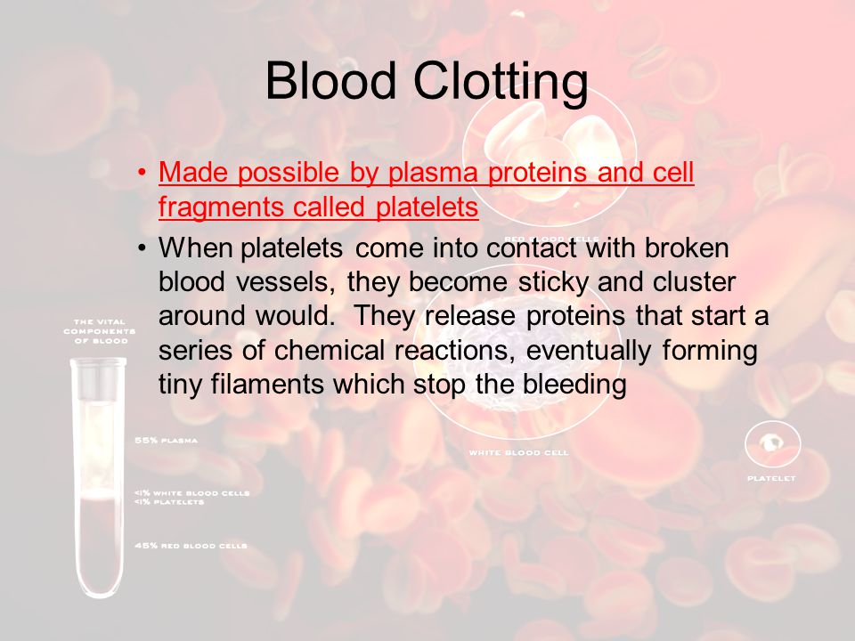 Blood Clotting Made possible by plasma proteins and cell fragments called platelets.