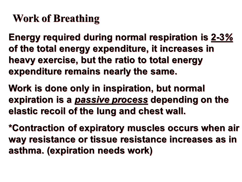 Respiratory System Aim: - ppt download