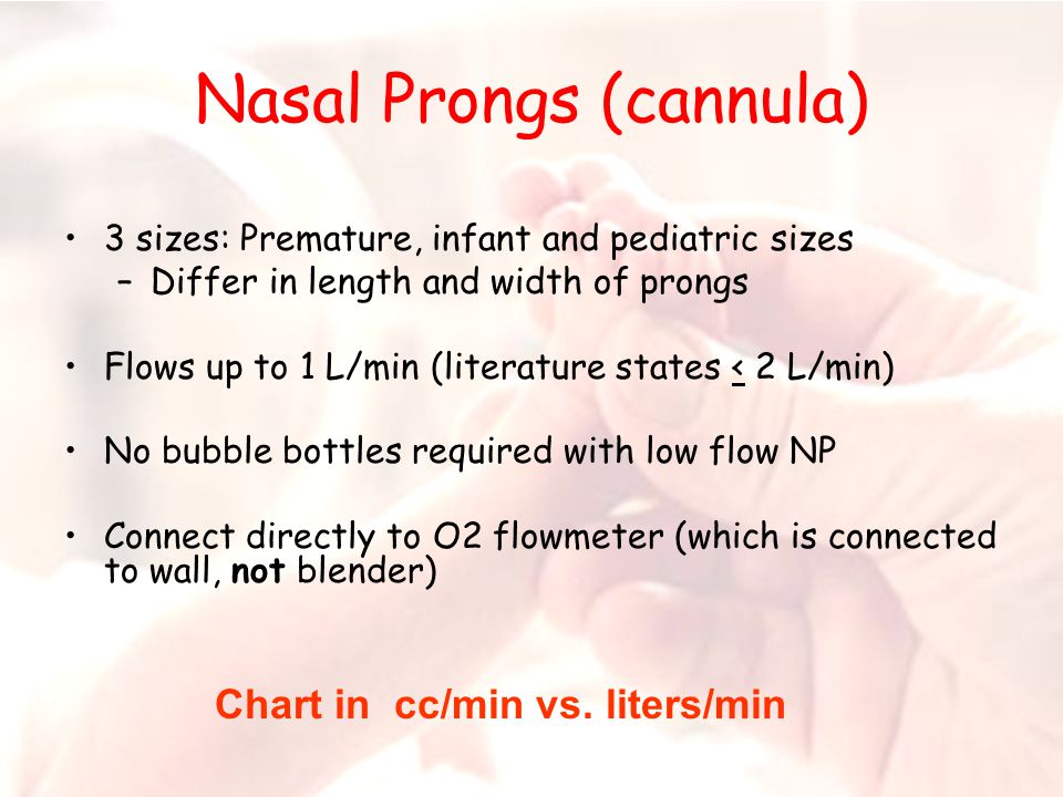 define nasal cannula