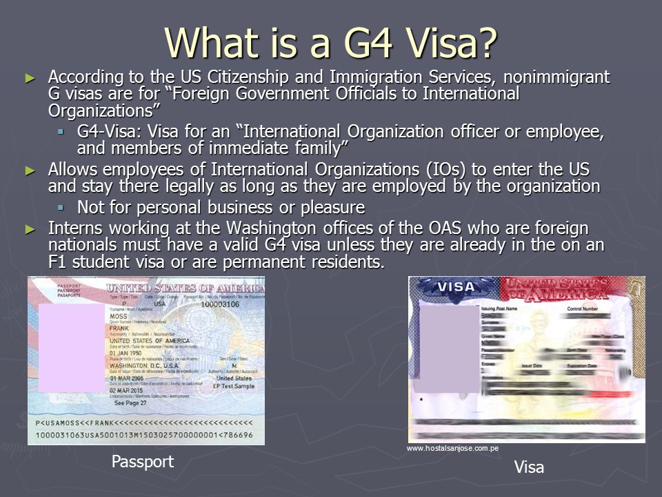 What is a G4 Visa