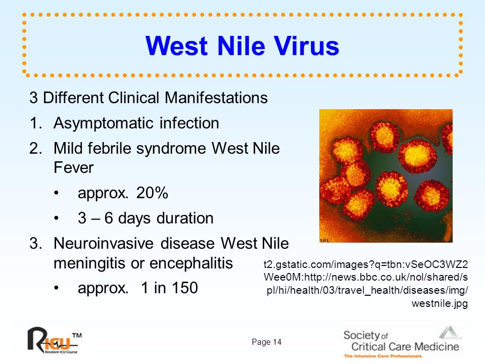 Program Information. - ppt download