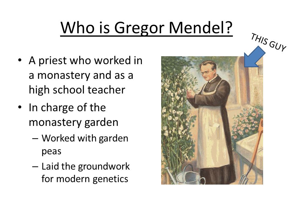 Section 11 1 The Work Of Gregor Mendel Ppt Download